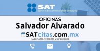 oficinas sat Salvador Alvarado horarios telefonos y direcciones